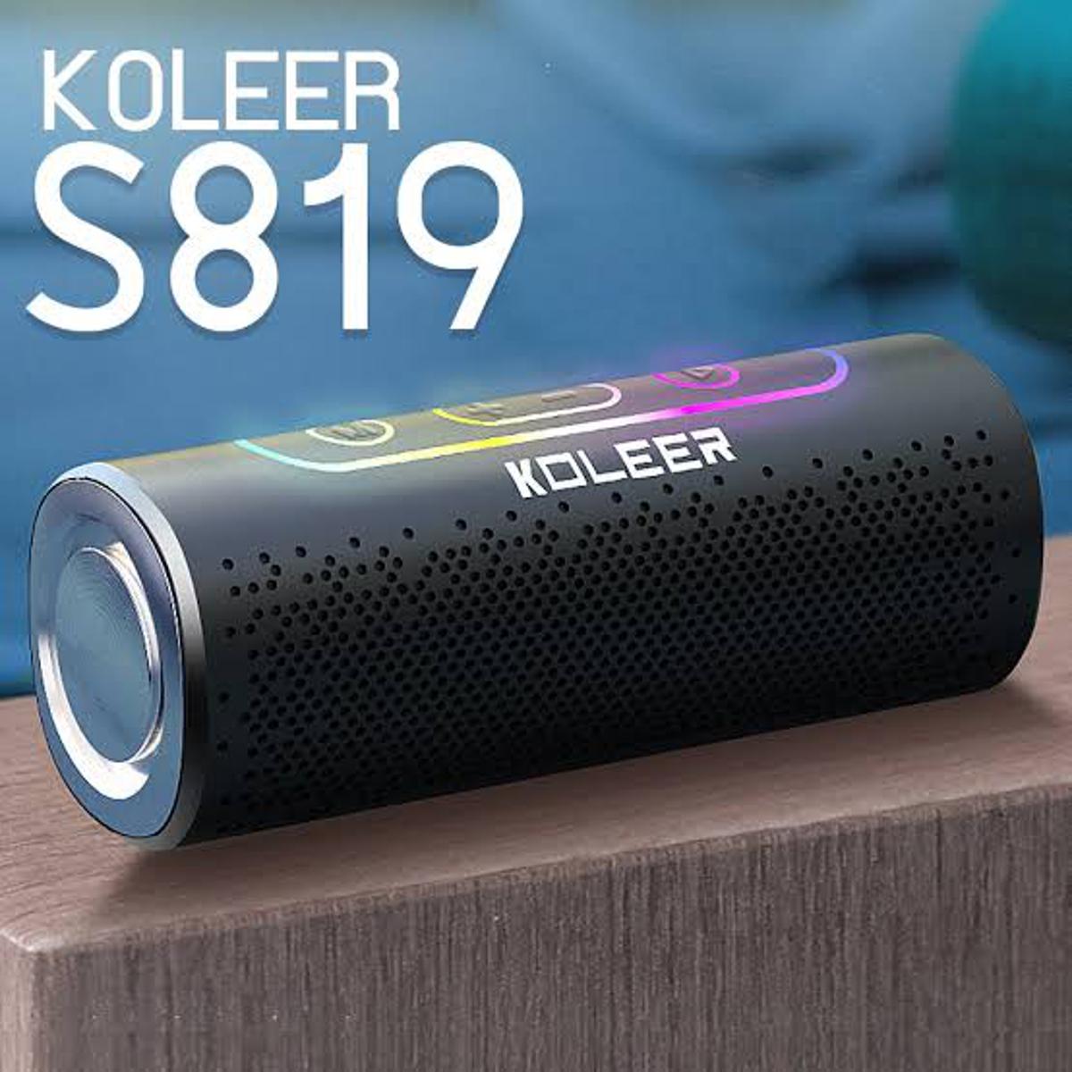 S819- SPEAKER