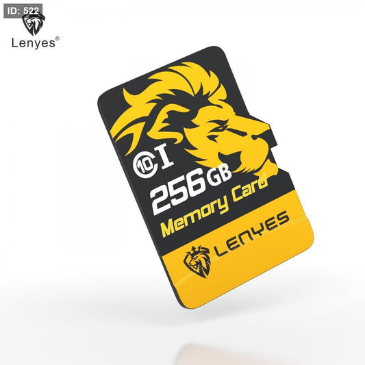 C10-MEMORY CARD-256G